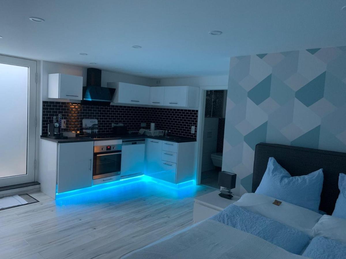Modern Renovated Apartment Suited For Business Consultants - In Close Distance To Dt, Dhl And Un Campus - Reserved Parking Bonn Buitenkant foto